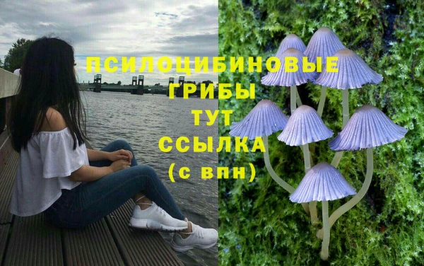 круглые Арсеньев