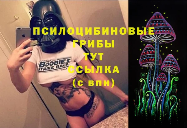 тгк Армянск