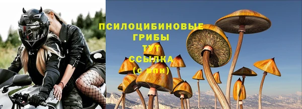 гидропоника Бородино
