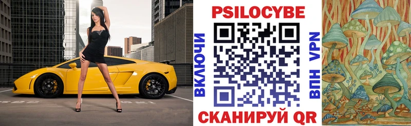 ОМГ ОМГ как войти  Сосновка  Псилоцибиновые грибы прущие грибы 